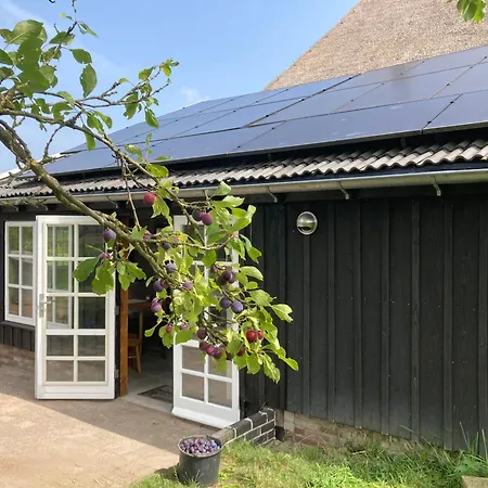 Romantische Bedstay De Volle Hand 3* Terwolde