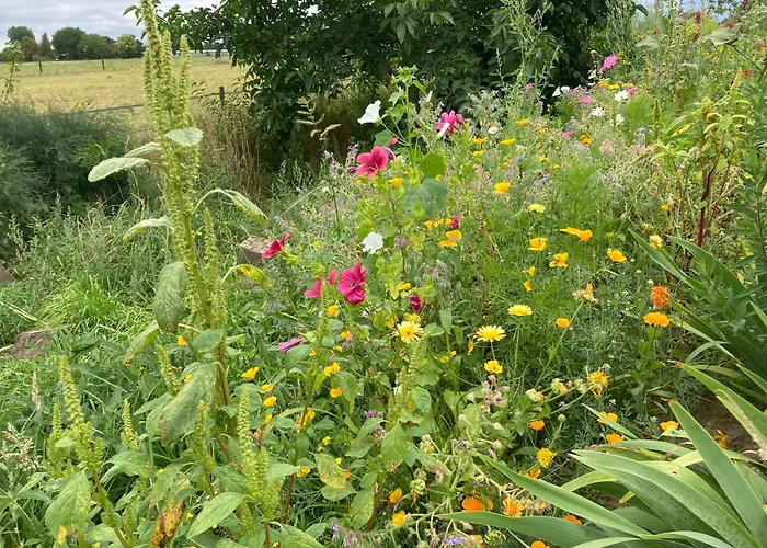 Romantische Bedstay De Volle Hand Bed & Breakfast