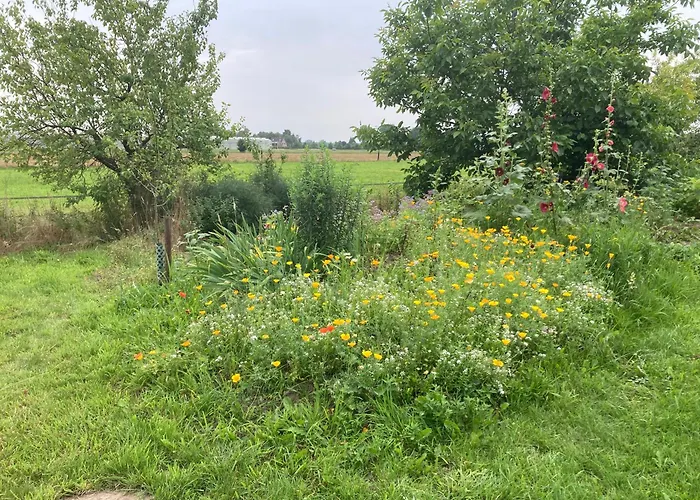 Bed & Breakfast Romantische Bedstay De Volle Hand