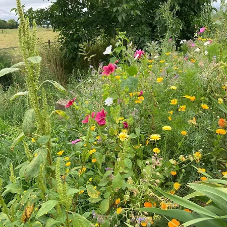 Romantische Bedstay De Volle Hand Oda ve Kahvaltı