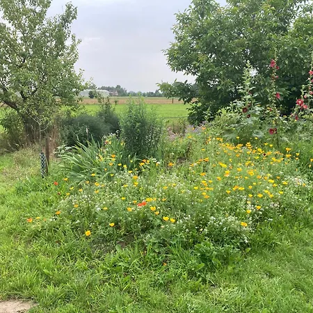 Oda ve Kahvaltı Romantische Bedstay De Volle Hand