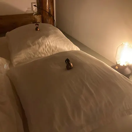 Oda ve Kahvaltı Romantische Bedstay De Volle Hand 3*